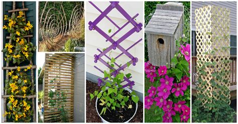 Craft a simple diy trellis for vegetables and plants, privacy, or for an accent in your garden. 30+ DIY Trellis Ideas for Your Beautiful Garden