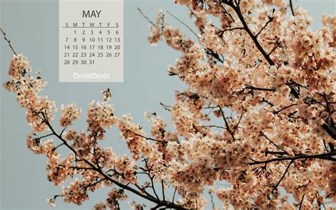Beautiful May Desktop And Mobile Wallpaper Free Backgrounds