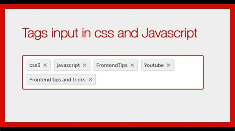 Tags Input In CSS And Javascript No Framework YouTube