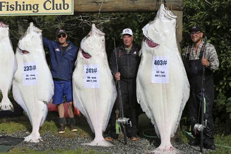 Get baked halibut recipe from food network you can also find 1000s of food network's best recipes from top chefs, shows and experts. Anglers reel in 400-pound, 200-pound halibut in Cook Inlet ...