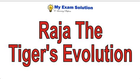 Stage One Of Raja The Tigers Evolution My Exam Solution
