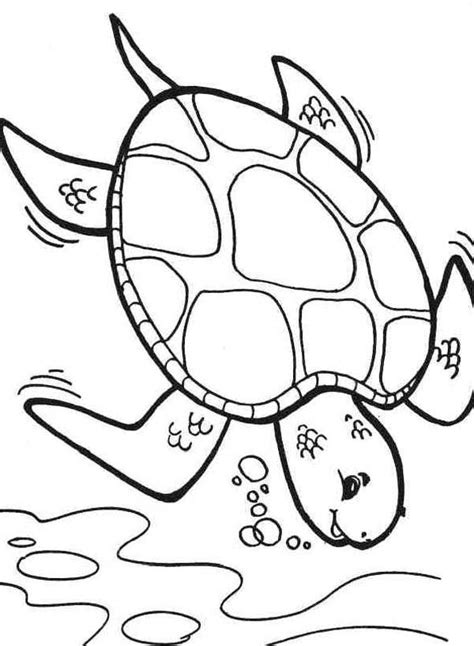 The color of the sea. Diving Deeper Sea Turtle Coloring Page - Download & Print ...