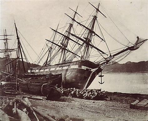 Les 139 Meilleures Images Du Tableau Merchant Ship 1800 1850 Sur