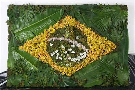 Bandeira Brasileira Feita Com Folhas De Bananeiras E Restos De