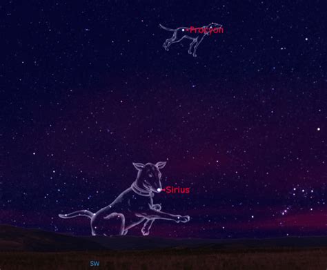 Sirius Dog Star Constellation