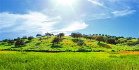 Check spelling or type a new query. Castro Marim Nature Reserve | Birds & Nature