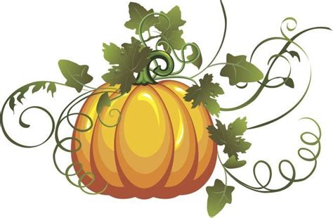 Pumpkin With Vines Drawing Howtostylebangstiktok