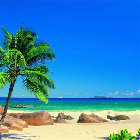 10 New Caribbean Beach Pictures Wallpaper Full Hd 1080p For Pc