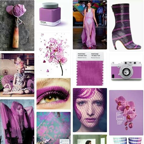 Dubbed Radiant Orchid The Official Color Of 2014 Orchid Color Color