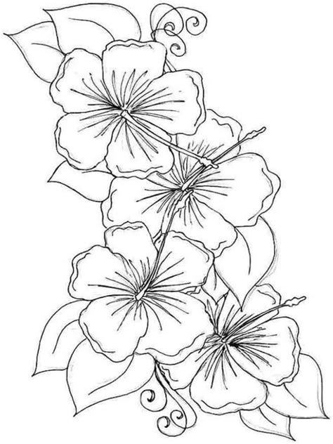 Hibiscus Coloring Page At Free Printable Colorings