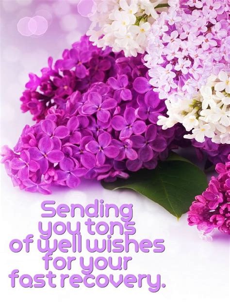 We did not find results for: 101 Get Well Soon Quotes, Sayings, Messages, Greetings ...