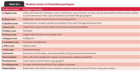 Pathogenesis And Immunity Clostridium Perfringens