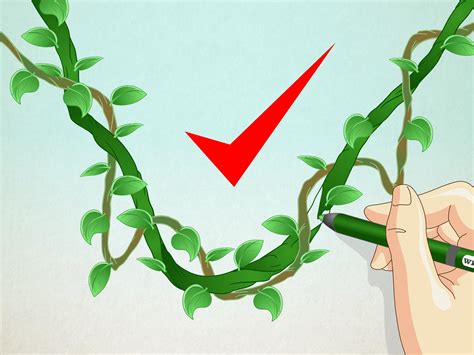 How to Draw a Jungle Vine - wikiHow Her speed challenges illustrate that it takes time to using a drawing tablet, ipad, and mix of programs including procreate and photoshop, floortjes often sets herself (and her audience) time restrictive.