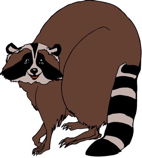 Racoon Clipart Clip Art Library