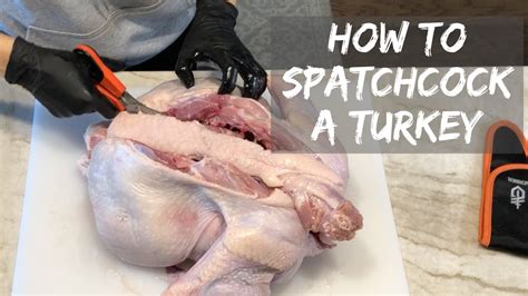 meat diy how to spatchcock a turkey for better cooking jess pryles youtube