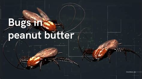 Bugs In Peanut Butter Youtube