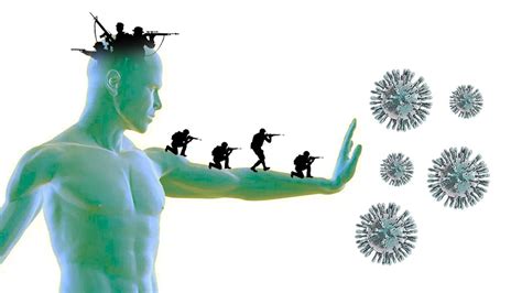 ¿qué Es El Sistema Inmune Y Cómo Funciona Como Funciona Que