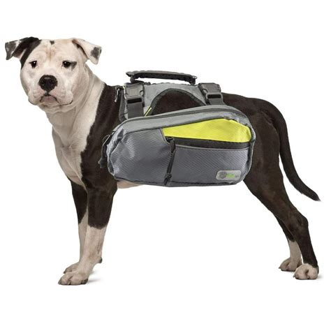 Go Fresh 2 In 1 Pet Dog Harness And Hiking Dog Backpack Outdoor Gear