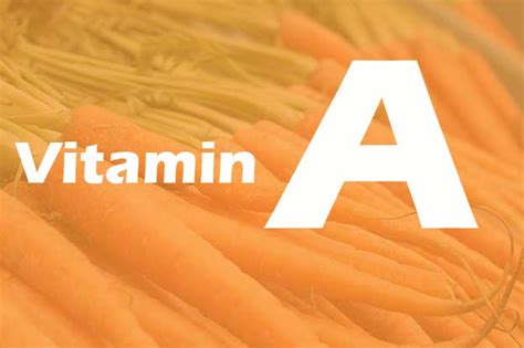 16 Fungsi Dan Manfaat Vitamin A Untuk Kesehatan Dan Kecantikan