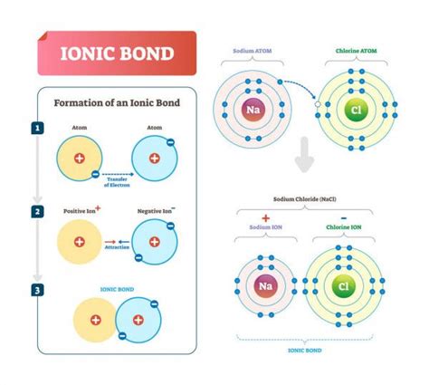 The Formation And Structure Of An Ionic Bond Infographical Poster With Information About Each