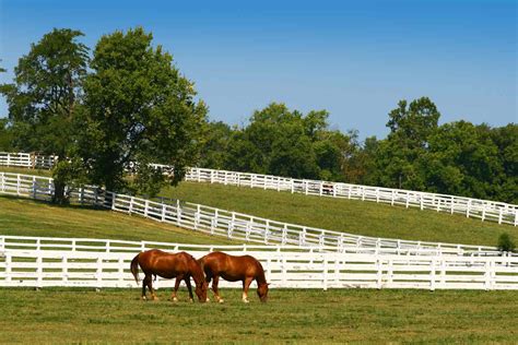 The Kentucky Horse Park A Complete Guide