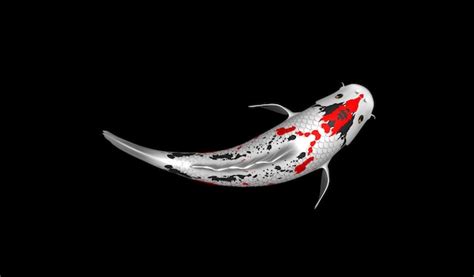 Premium Photo Colorful 3d Rendering Koi Fish With Redblack And White
