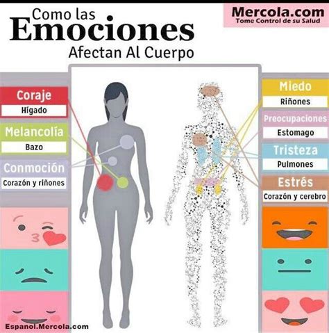 Cómo Afectan Las Emociones Al Cuerpo Reiki Essential Oil Recipes