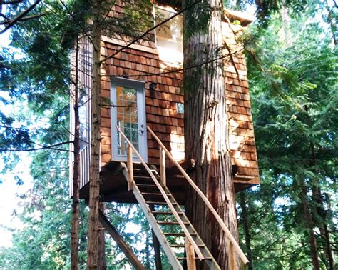 Raven Loft Is A Small Sustainable Treehouse Home In Bc Canada