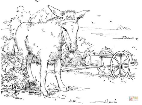 Horse coloring page from horses category. donkey-13-coloring-page.gif (750×555) | Horse coloring ...
