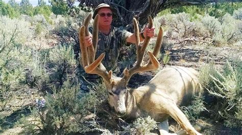 Record Mule Deer Taken By Pioche Man Lincoln County Central