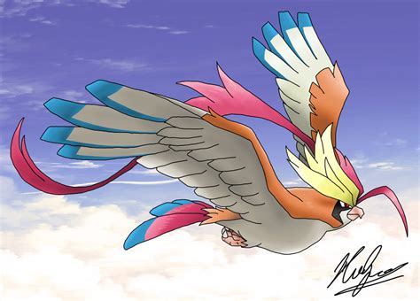 018 Mega Pidgeot By Neoyurin On Deviantart