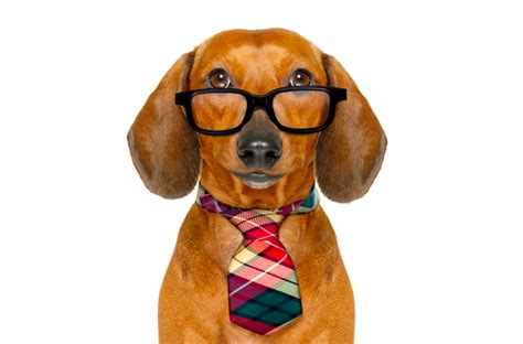 A lawyer's closing speech was dragging on into its second hour when he suddenly stopped and told the judge: Top Ten (Clean) Lawyer Jokes to Kick Off 2018