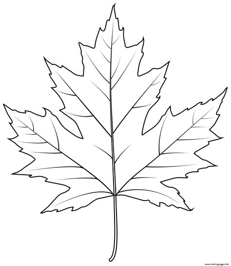 Silver Maple Leaf Coloring Pages Printable