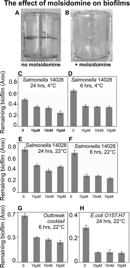 Salmonella is a genus name for more than 2200 types of related bacteria. Systematic analysis of the ability of Nitric Oxide donors ...