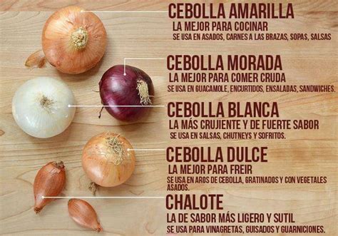 Variedades De Cebolla Infografía Con Sus Características