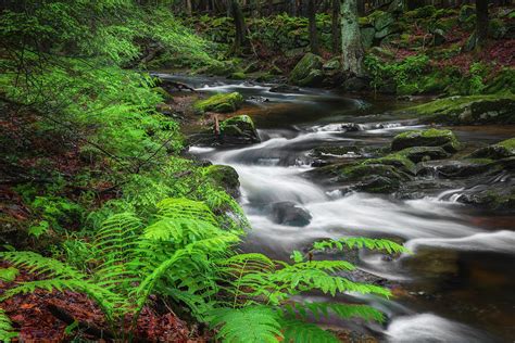 New England Spring Stream Photograph By Bill Wakeley