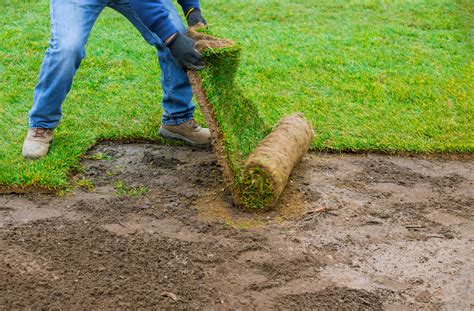 Sod and topsoil are synonymous, and they have mutual synonyms. How to Prepare Your Soil for Sod | Zoysia Sod
