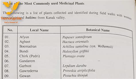 List Of Most Common Used Medicinal Plants Forestrypedia