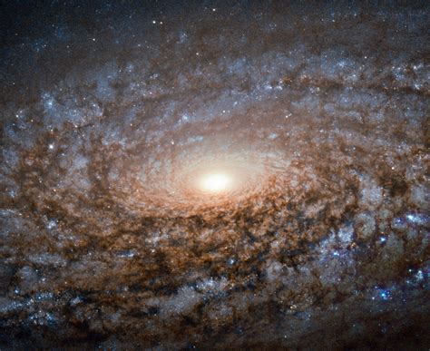 Hubble Views Woolly Galaxy Ngc 3521