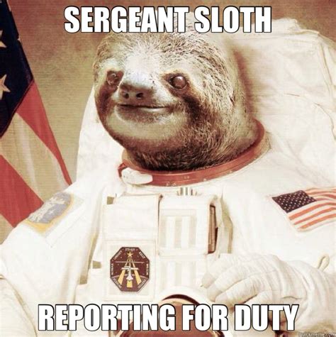 The meme that started them all here. SERGEANT SLOTH REPORTING FOR DUTY - sergeant sloth - quickmeme
