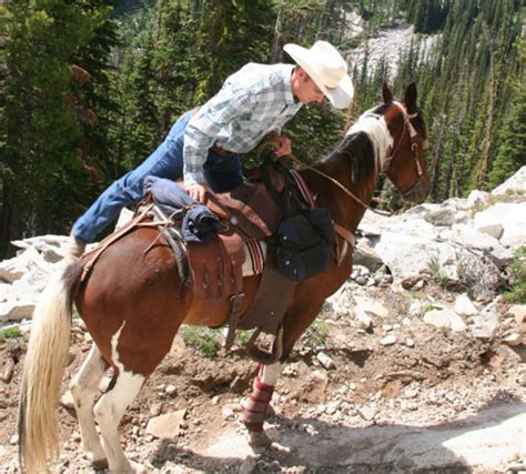 Despite what others say, the saddlery and gunroom is a fantastic shop! 10 Saddle Fit Tips To Enhance Your And Your Horse's ...