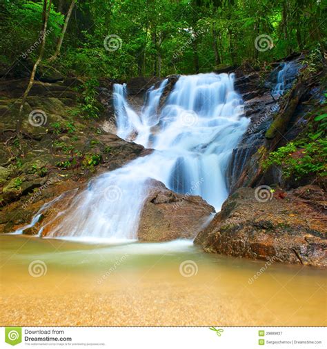 Beautiful Landscape In Deep Forest Stock Image Image Of Leaf