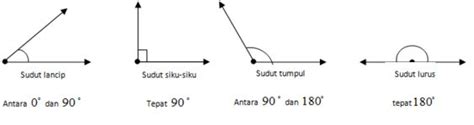 Jika demikian, maka berikut kami sajikan uraian lengkapnya untuk jenis singa lain yang masih ada adalah panthera leo nubica, juga dikenal sebagai singa afrika timur. Pengertian Sudut dan Macam-macam Jenis Sudut beserta ...