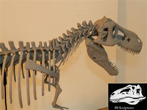 Jurassic Park Trex Skeleton 1 10 Scale By Benross91 On Deviantart