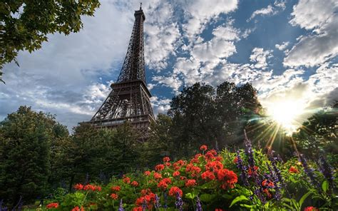 Cityscape Paris Eiffel Tower France Flowers Clouds Sun Plants