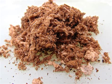 Medicinal Mushroom Tea Blend Bulk Running Waters Homestead