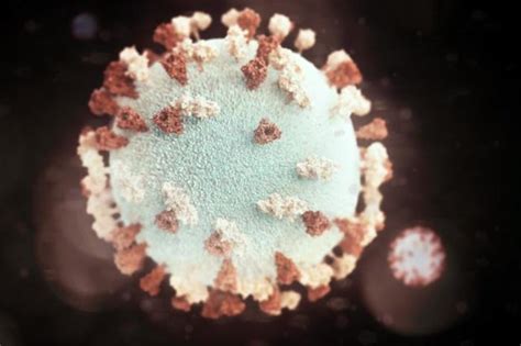 Anthony fauci, chief medical adviser on. Tracing the story of mumps: a timeline - Pharma Technology ...