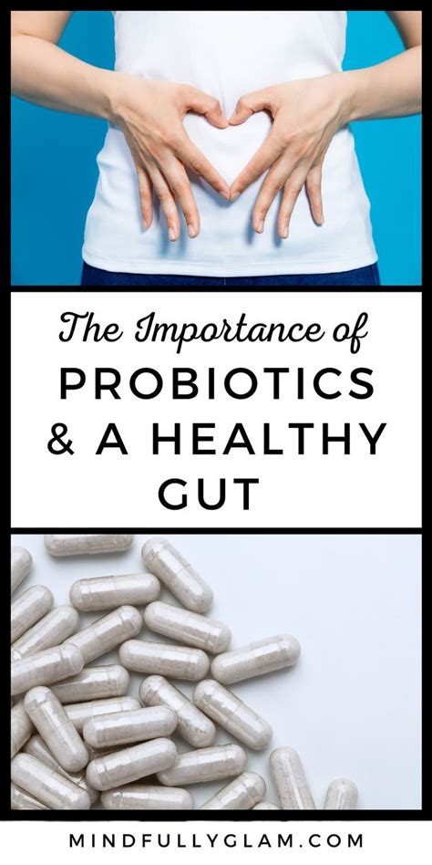 Probiotics And Gut Health Why You Should Be Taking Probiotic