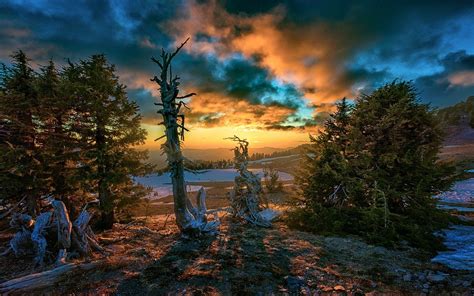 Sunlight Trees Landscape Forest Fall Sunset Nature Sky Snow