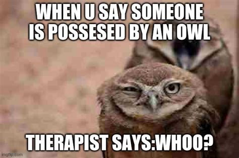 Annoyed Owl Imgflip